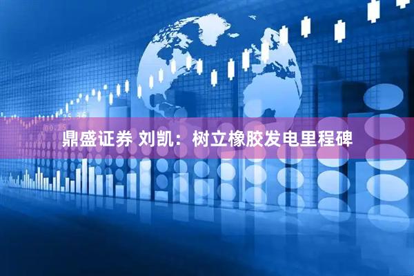 鼎盛证券 刘凯：树立橡胶发电里程碑