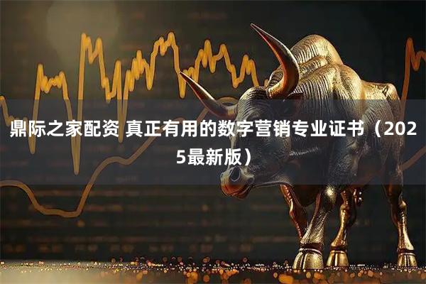鼎际之家配资 真正有用的数字营销专业证书（2025最新版）
