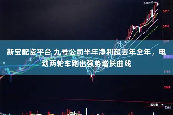 新宝配资平台 九号公司半年净利超去年全年，电动两轮车跑出强势增长曲线