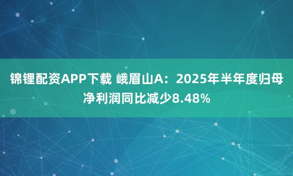 锦锂配资APP下载 峨眉山A：2025年半年度归母净利润同比减少8.48%