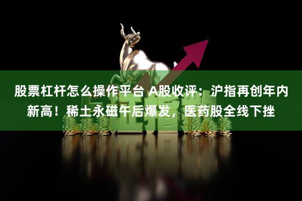 股票杠杆怎么操作平台 A股收评：沪指再创年内新高！稀土永磁午后爆发，医药股全线下挫