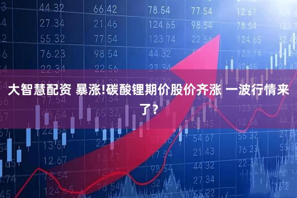 大智慧配资 暴涨!碳酸锂期价股价齐涨 一波行情来了？