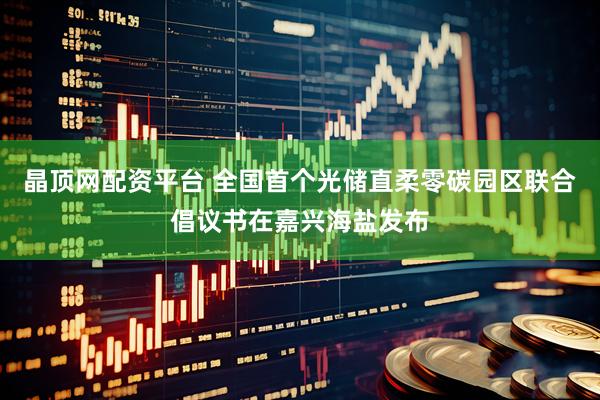 晶顶网配资平台 全国首个光储直柔零碳园区联合倡议书在嘉兴海盐发布
